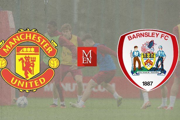 刘亦菲的毛片