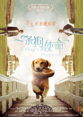 日韩欧美一卡