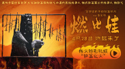 成年网站视频在线观看