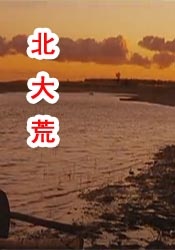 国产hs免费高清在线观看