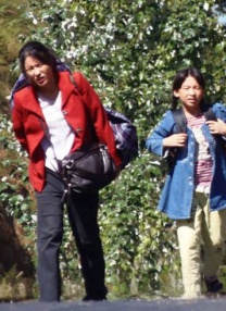 www伊人网