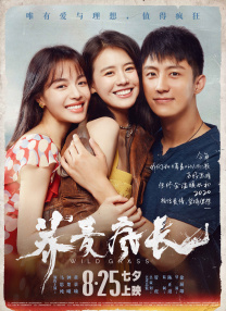 亚洲剧情在线观看