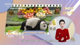 91视频免费入口